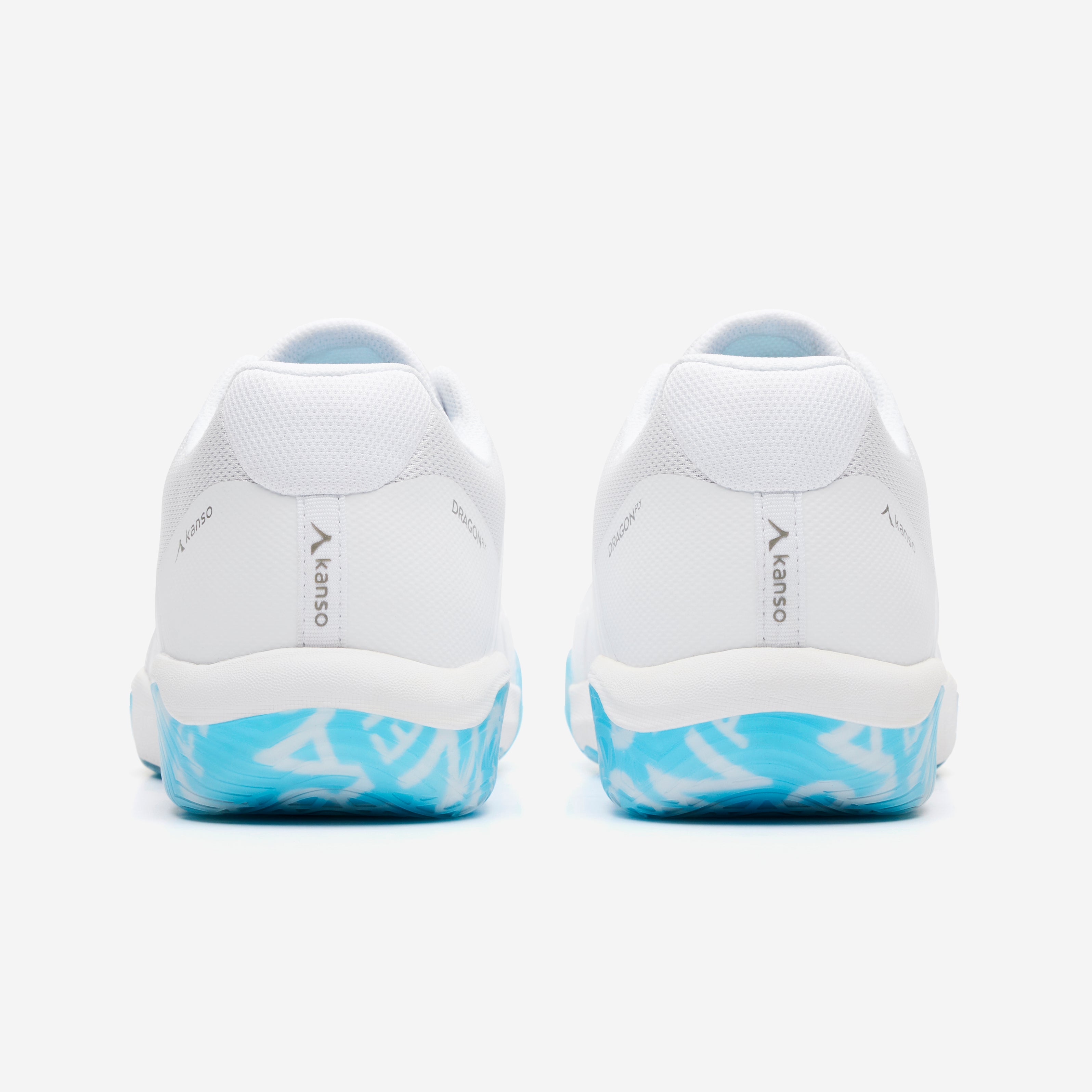 Dragonfly 2 Indoor White/Iceblue