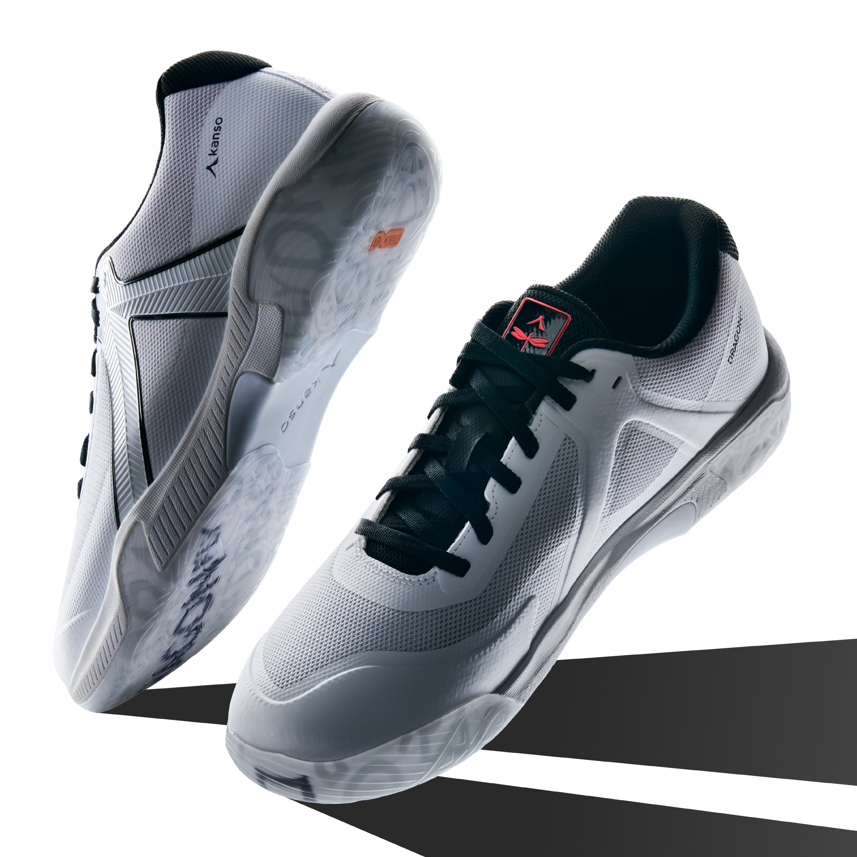 Dragonfly 2 Indoor White/Black